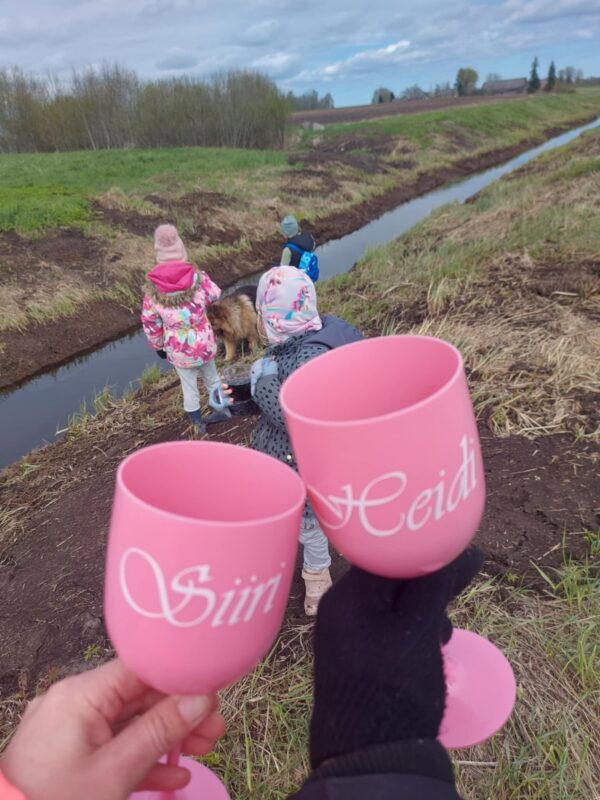 Nimeline pokaal 480 ml, roosa (plastikust)